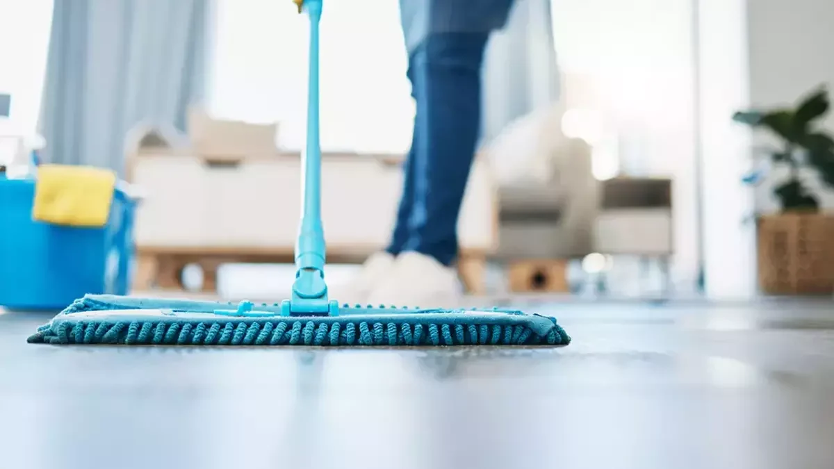 Gemlik Ev Temizlik Şirketi Rehberi